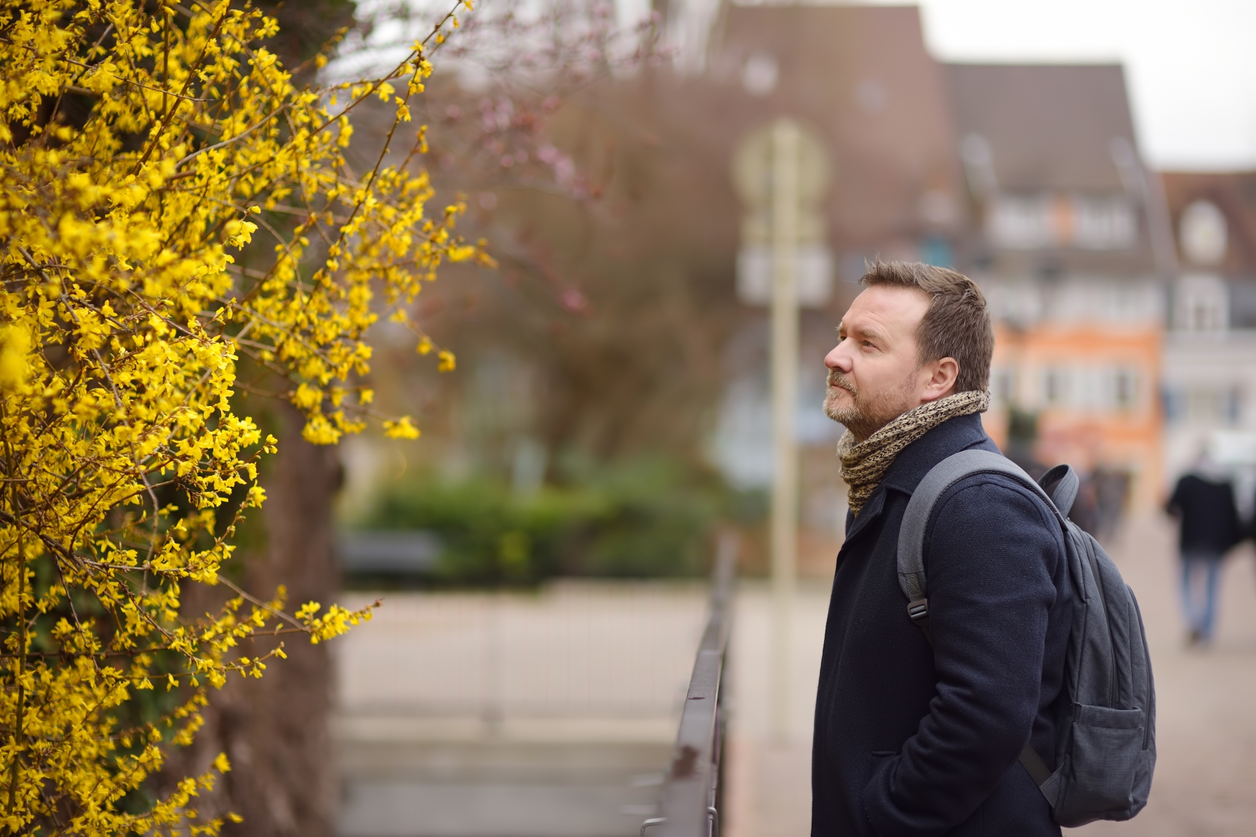 Medelålders man tittar på ett buskage med gula blommor i en mindre stad.